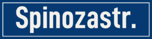 Straßenschild Spinozastraße