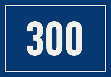 Hausnummer 300