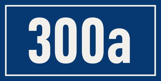Hausnummer 300a