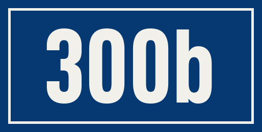 Hausnummer 300b
