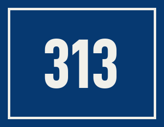 Hausnummer 313
