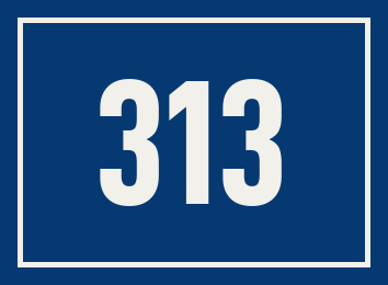 Hausnummer 313