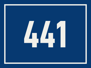 Hausnummer 441